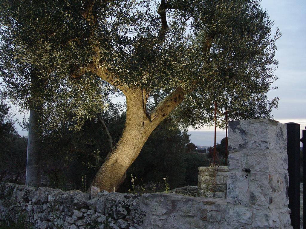 Trullo Sereno Angelo Локоротондо Екстер'єр фото